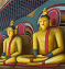 Mission protect lankan buddhism.png