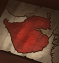 Mission conquer kathiawar.png