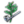Tobacco