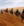 Mission saharan route.png