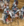 Mission livonian intervention.png