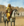 Mission reconquer ceuta.png